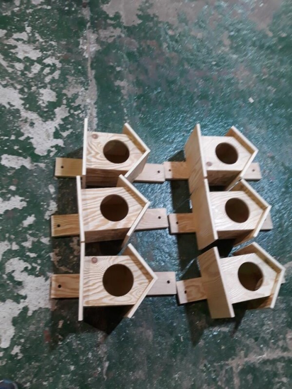 9c57adaa554003dd01d00010f114054d_1554709